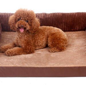 Big Dog Sofa Bed
